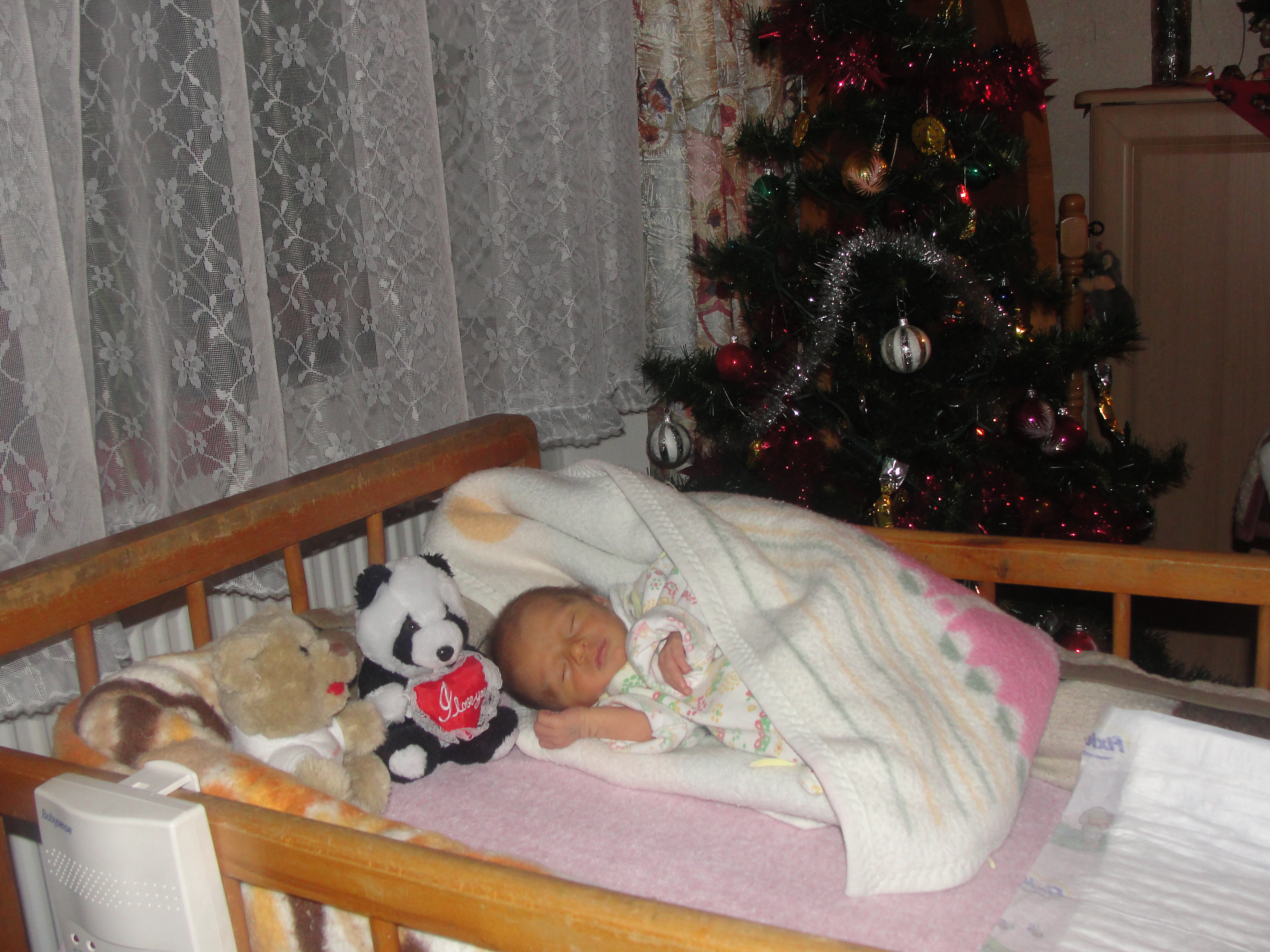 DSC00146.JPG